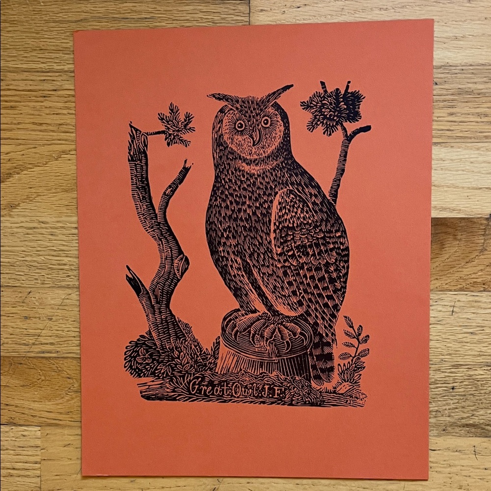 Orange Owl Art Print